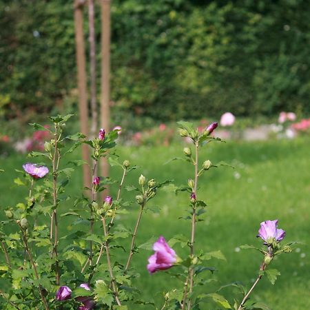 Ferienwohnung Am Kurpark Bad Nenndorf Kültér fotó